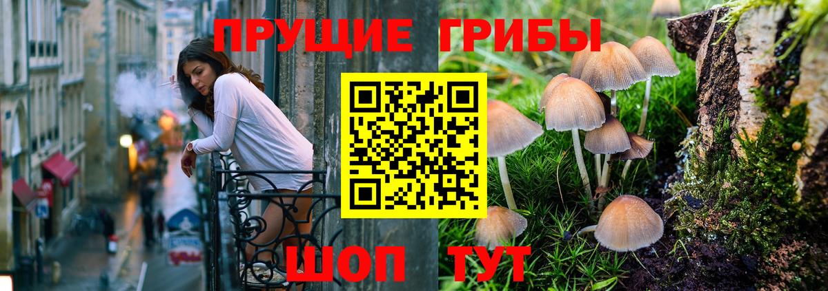 Галлюциногенные грибы прущие грибы  Вход с VPN  Кыштым 
