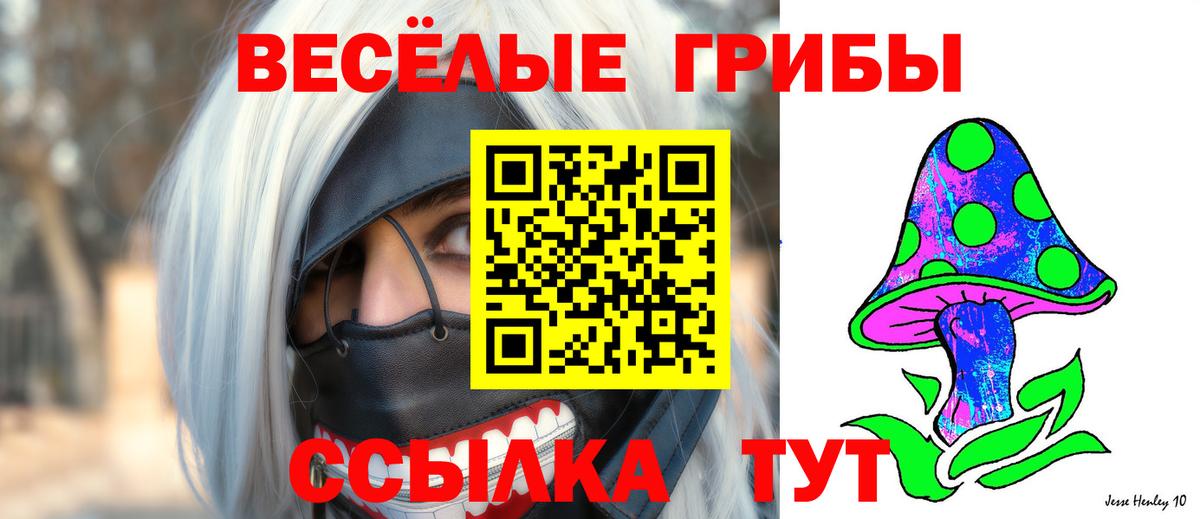 Псилоцибиновые грибы Psilocybe Кыштым